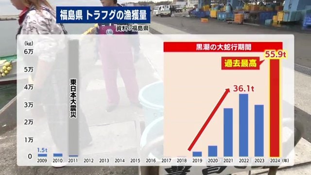 福島県のトラフグ漁獲量（資料：福島県）