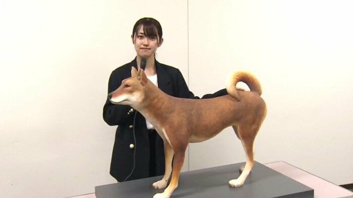 記者と復元模型