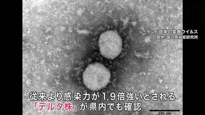 従来のウイルスよりも感染力が高いデルタ株