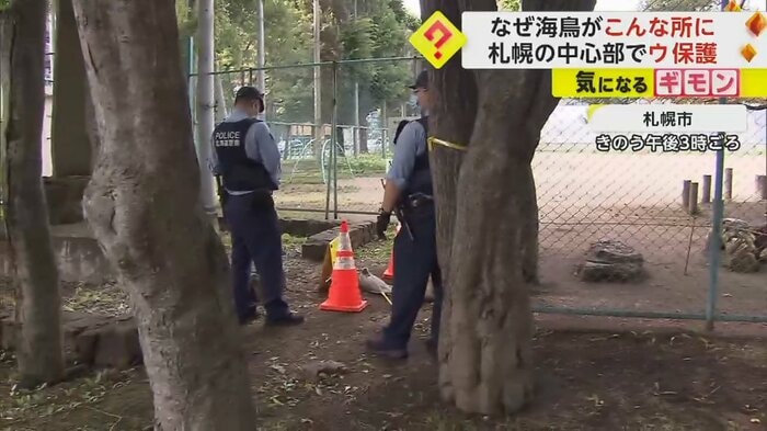 警察官が小学校の校庭のそばでウを取り囲む
