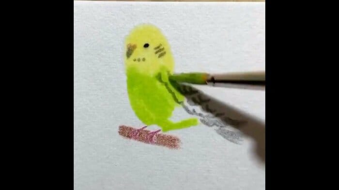 輪郭を描かず色を塗っている