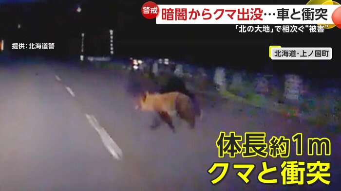 車の前に飛び出してきたクマ