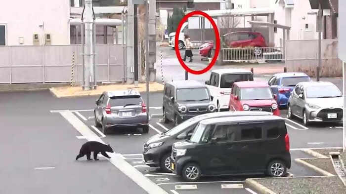 4月、クマが県営アパートの敷地内に侵入、クマの存在に気付かない住民（盛岡市青山町）