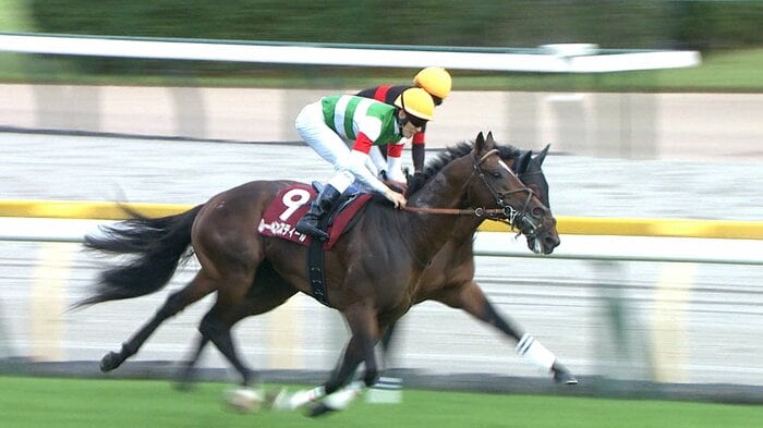 毎日王冠を制したレーベンスティール