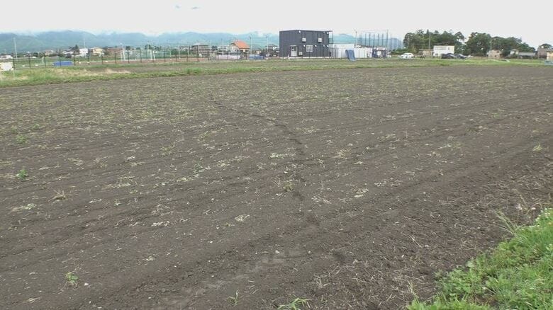 クマが小中学校の近くに出没　目撃相次ぐ　体長1.3～1.5m　3校が臨時休校　大学近くの畑には足跡が　長野・松本市｜FNNプライムオンライン