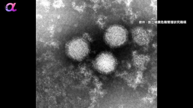 【警戒】死者も確認…マダニが媒介する感染症「SFTS」今年の感染者数91人に　過去最多2023年の同時期上回る　動物に触れたあと手を洗うよう呼びかけ｜FNNプライムオンライン