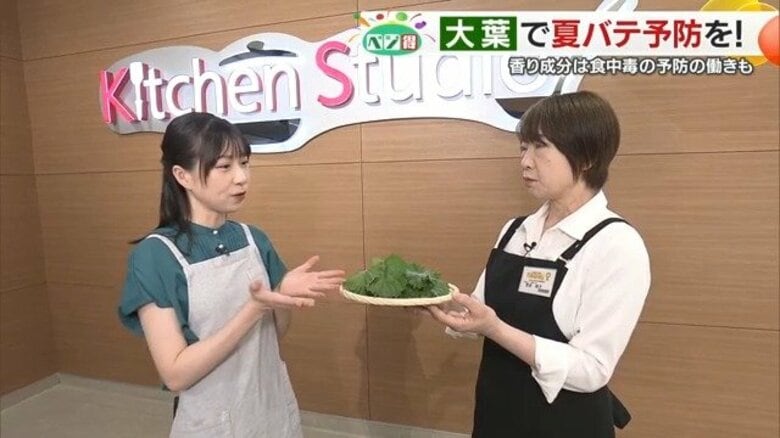 「食欲増進効果」で夏バテ撃退！初夏が旬の大葉に秘められた栄養パワーとは？松山市の太陽市から役立つレシピをご紹介【愛媛発】｜FNNプライムオンライン