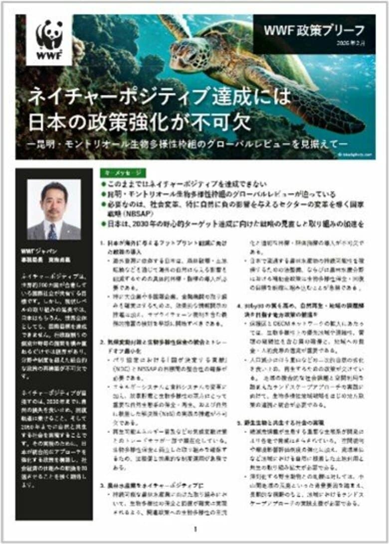 このままではネイチャーポジティブを達成できない　―WWFが生物多様性国家戦略の強化を訴え―