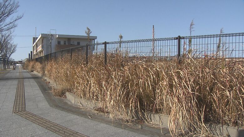 草刈りでは間に合わず…街の雑草が“温暖化”で繁茂　専門家が対策を検討　北九州市が初会合　福岡｜FNNプライムオンライン