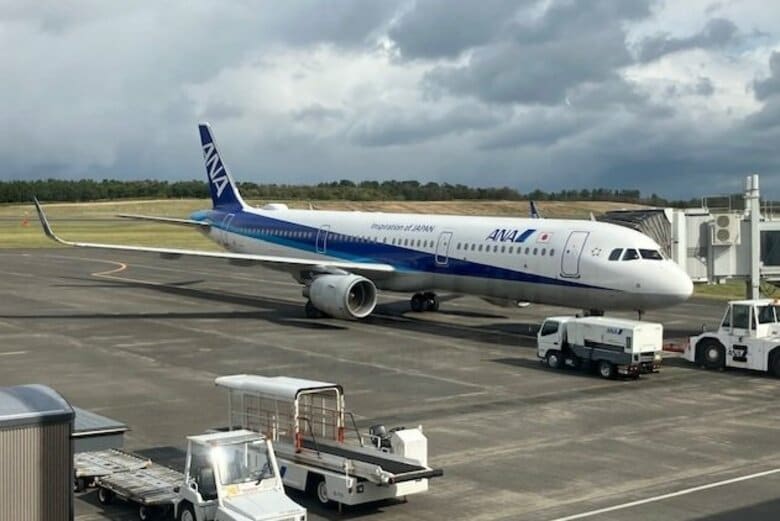 【速報】岡山空港の新千歳行きで雪の影響　函館に変更か引き返しの条件付き運航　新千歳では欠航便【岡山】｜FNNプライムオンライン
