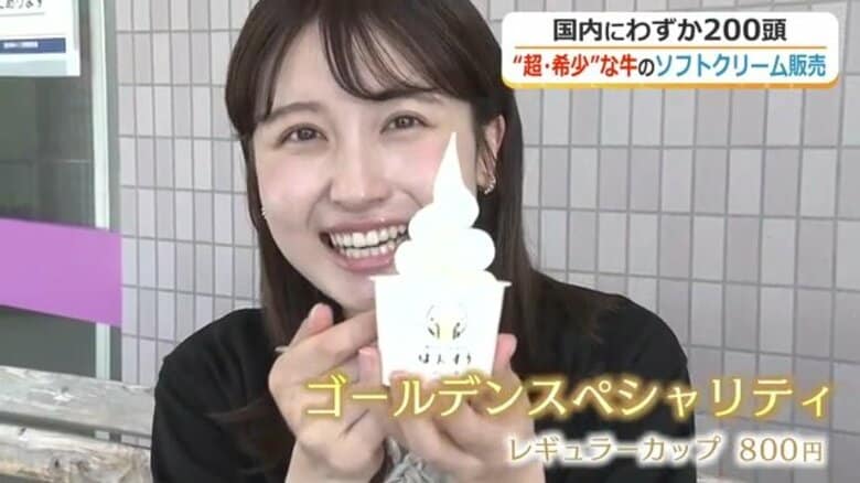 幻の“ゴールデンミルク”を使ったソフトクリーム　国内わずか200頭、北陸3県で唯一の「ガンジー牛」が生み出す濃厚な味わい｜FNNプライムオンライン