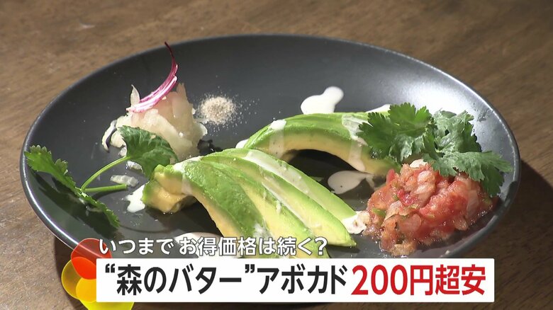 「3月中頃まで安く買える」アボカド“売値100円台前半”も　メキシコで記録的豊作…卸値は前年同月比200円超安に！｜FNNプライムオンライン