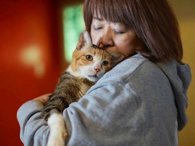 猫を“飼う”から“預かる”へ―高齢者でも安心の新たな選択肢「永年預かり制度」→保護活動のNPO法人が117匹マッチング…代表が目指す社会とは＜札幌の春を彩るひと＞｜FNNプライムオンライン