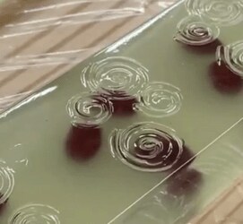 隠れミッキーがこんなところに!