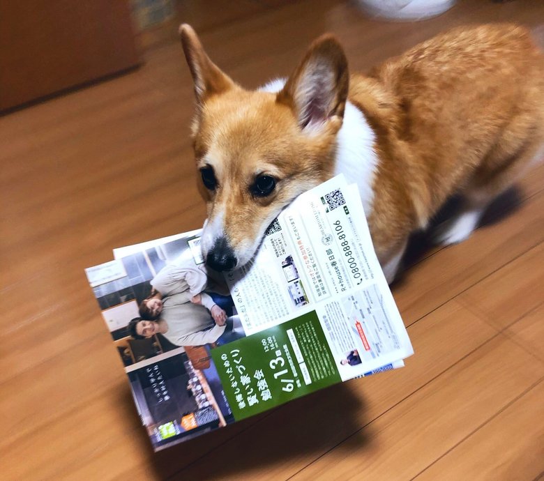 新聞やチラシもくわえて届けてくれる