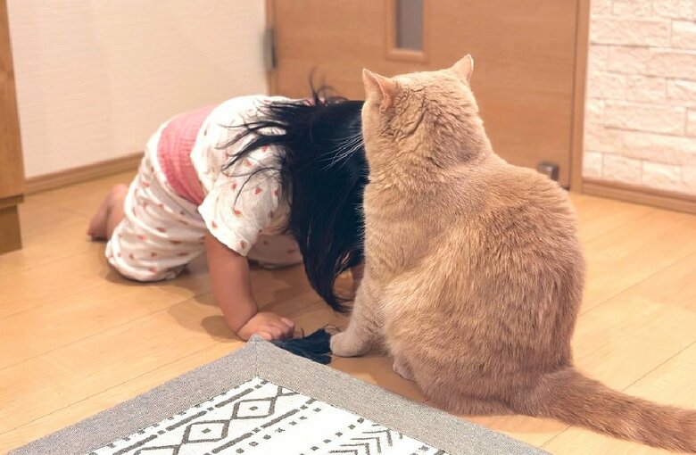 「叩いてごめんね」小鉄くんに謝る娘さん