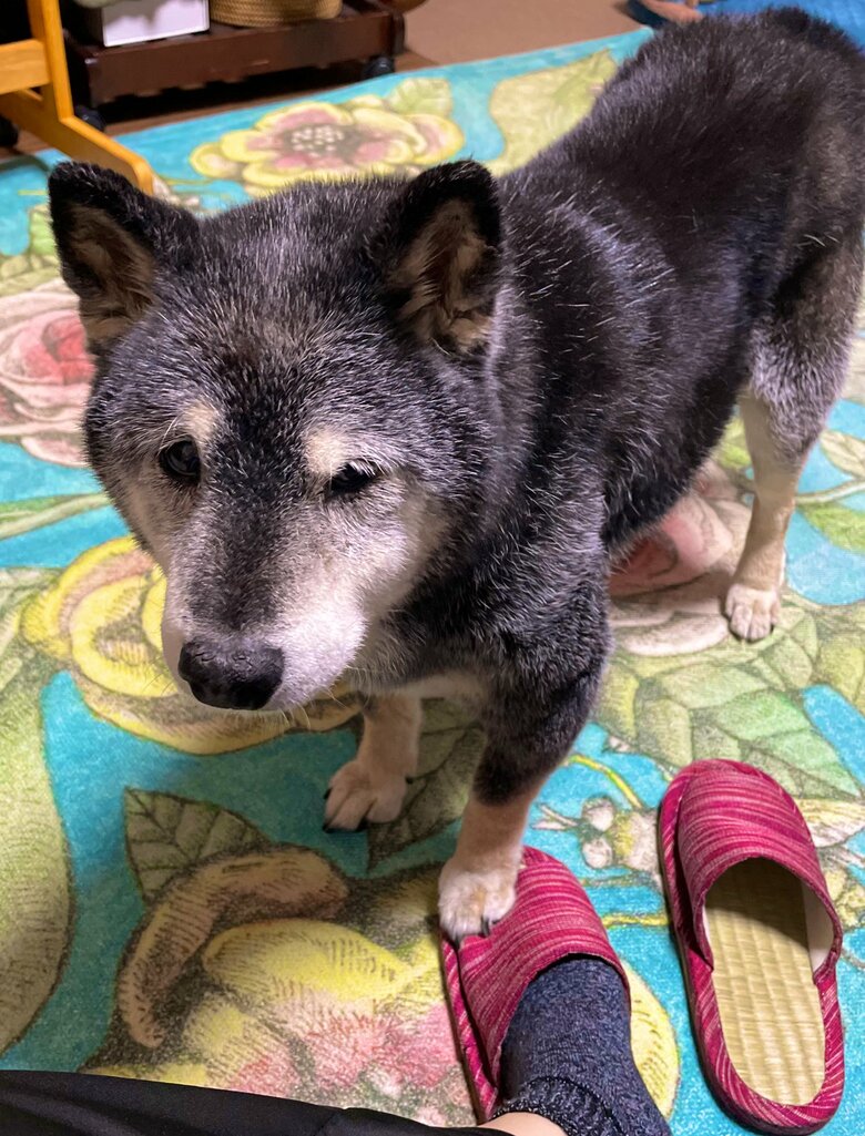 なぜか、小指を踏む