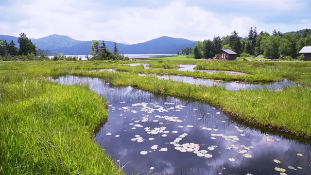 季節ごとに表情をかえる尾瀬に魅了される