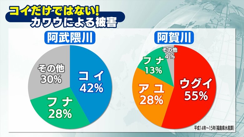 コイ以外のカワウによる被害