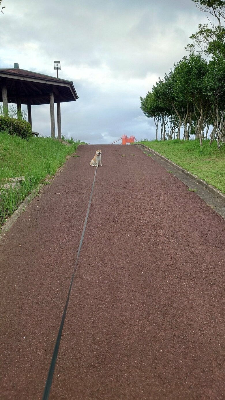 これ以上進みたくないと拒否