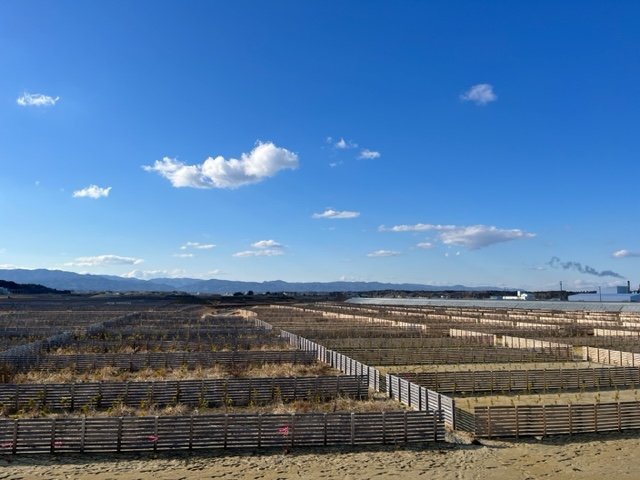 津波にのまれた請戸地区は無人の更地が広がる