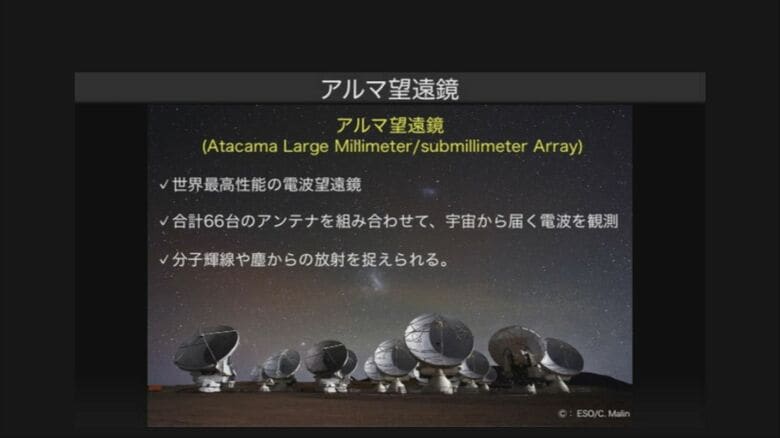 提供：池田達紀さん（新潟大学）