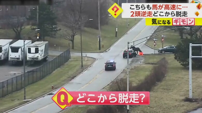 高速道路を降り、一般道を走る馬