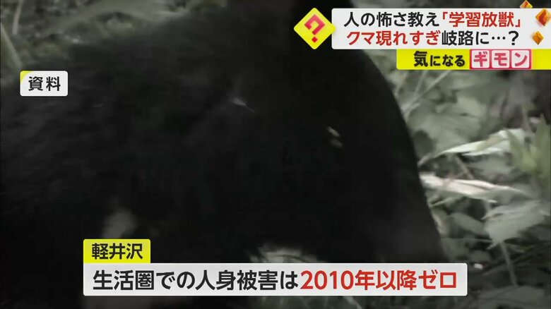 2010年以降、人の生活する場所での人身被害がゼロの軽井沢町