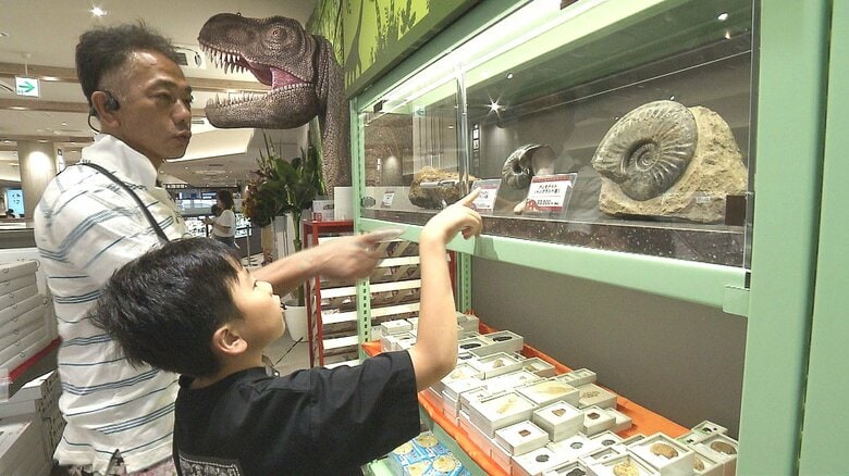 恐竜化石のレプリカも充実
