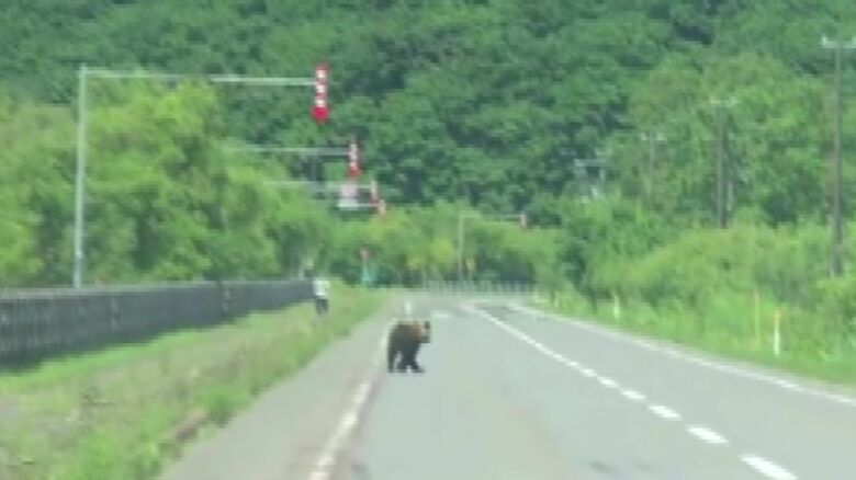 撮影：ｈａｙａｔａｋｕ@hayataku2000