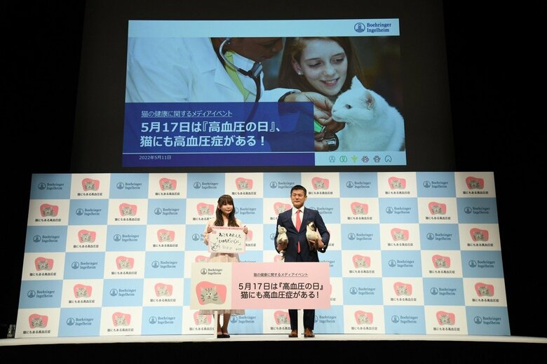 主催者名：ベーリンガーインゲルハイムアニマルヘルスジャパン　イベント名：5月17日は『高血圧の日』、猫にも高血圧症がある！