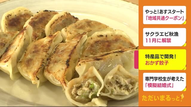 特産のタケノコ、シイタケがたっぷり JAが「おかず餃子」を発売 静岡