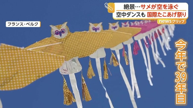 2026年で39年目の開催となるたこ揚げ祭り