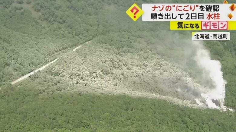 水蒸気によって森が真っ白になっている