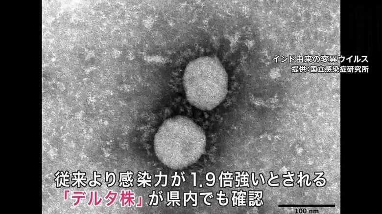 従来のウイルスよりも感染力が高いデルタ株