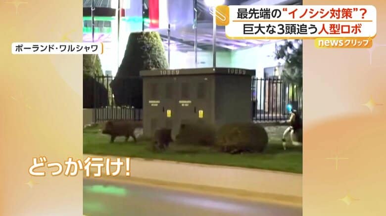 「どっか行け！」と声をあげていた様子を見ていた女の子