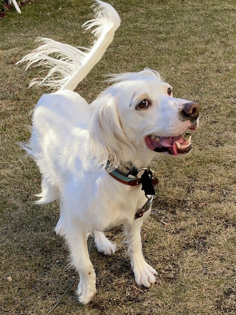 本当の姿は美少女！