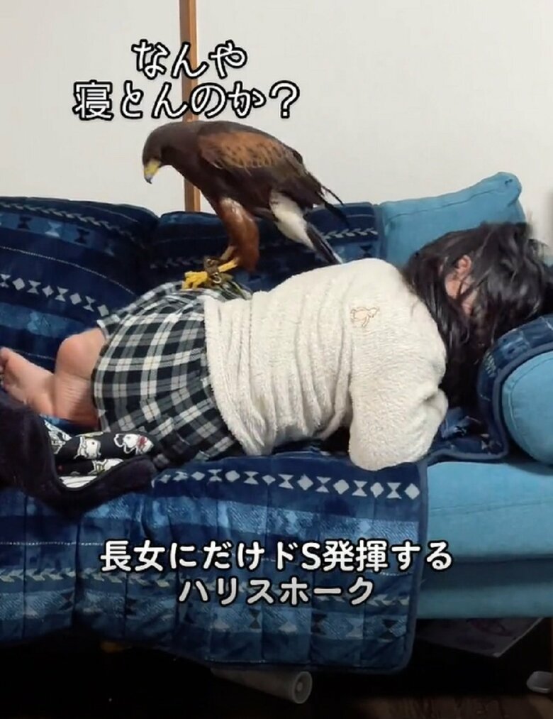 なんや寝とんのか？