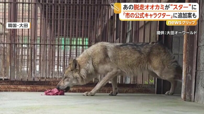 （映像提供：大田オーワールド）