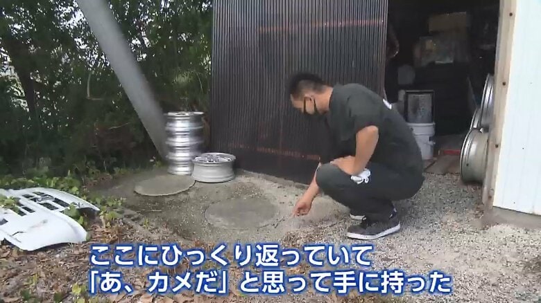 カメを見つけた黒木和久さん