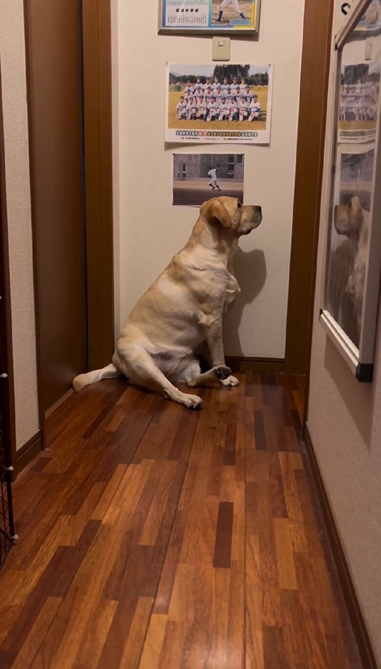 部屋の中の反応を伺っていると…