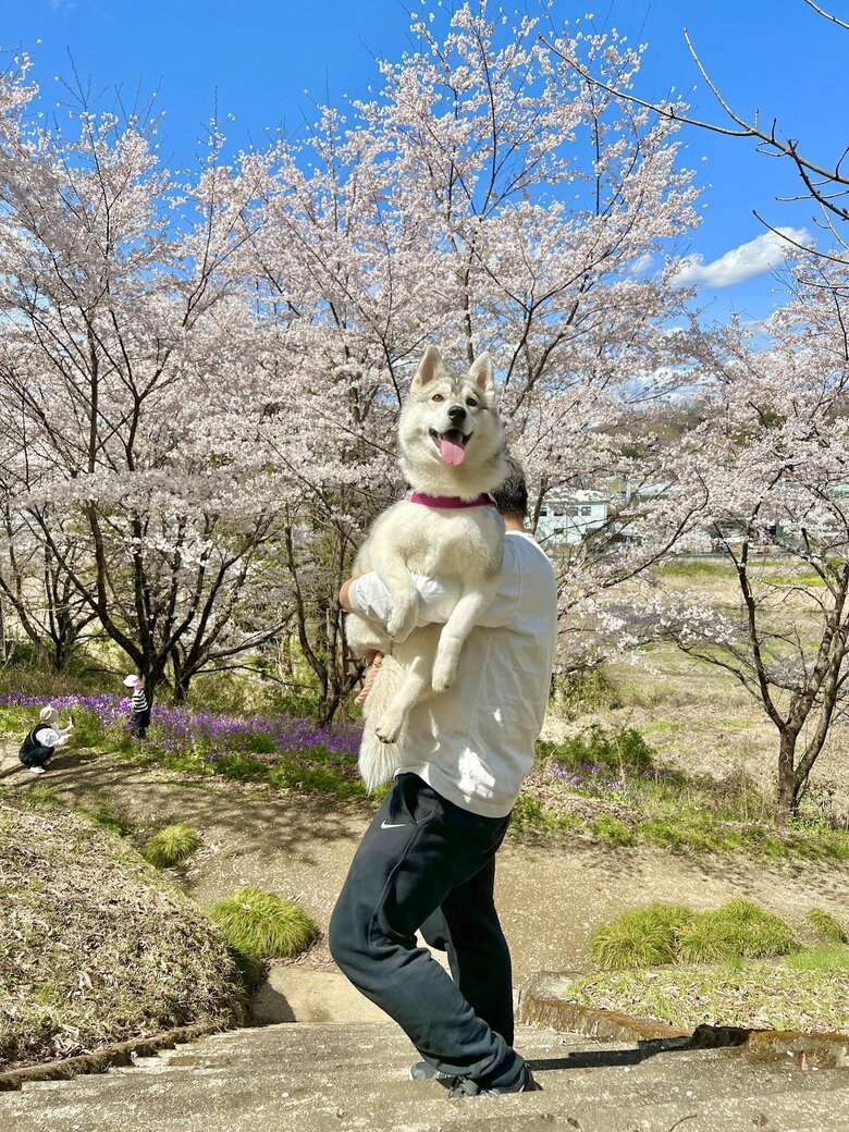 提供：ハスキーいちみちゃんと田舎暮らしさん
