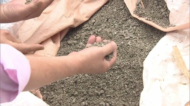 回収された軽石