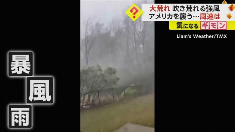 激しい雨で辺りがかすむ中、木が大きく揺れている