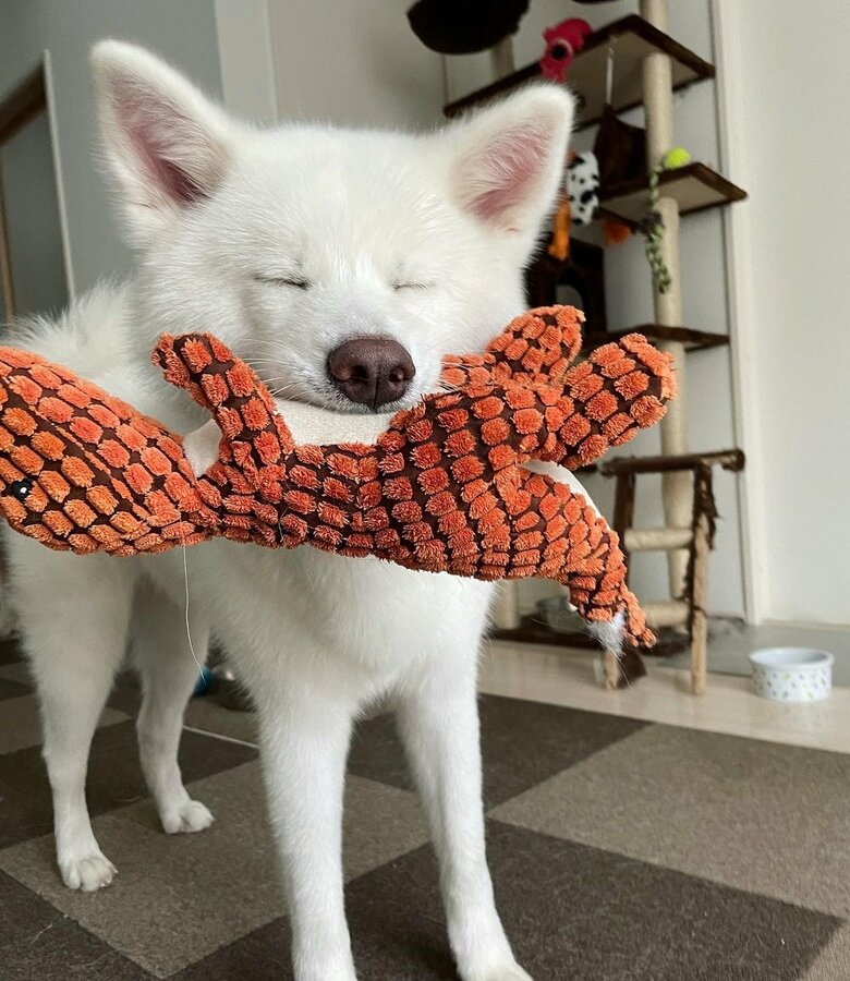 ぬいぐるみを持ってお出迎え