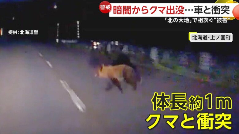 車の前に飛び出してきたクマ