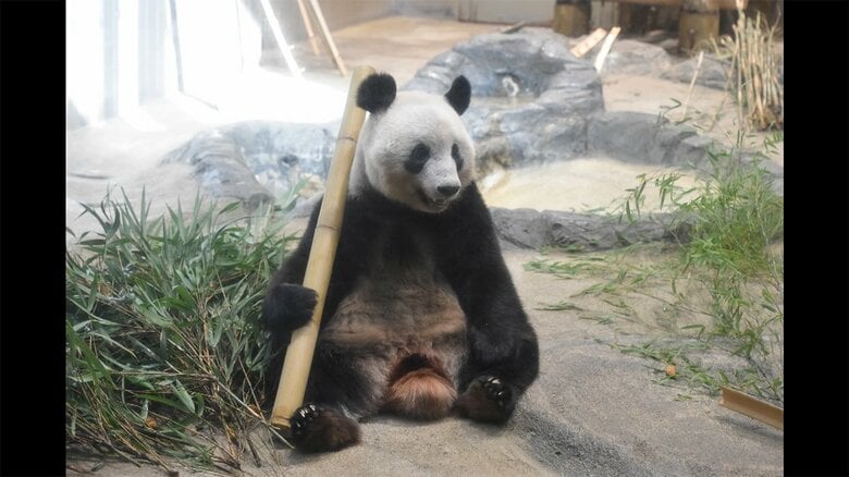 (公財)東京動物園協会提供