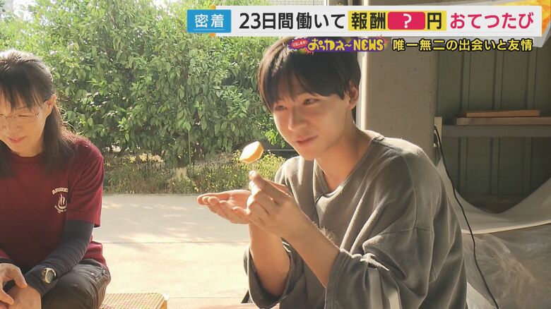 仕事終わりの「柿」はよりおいしい