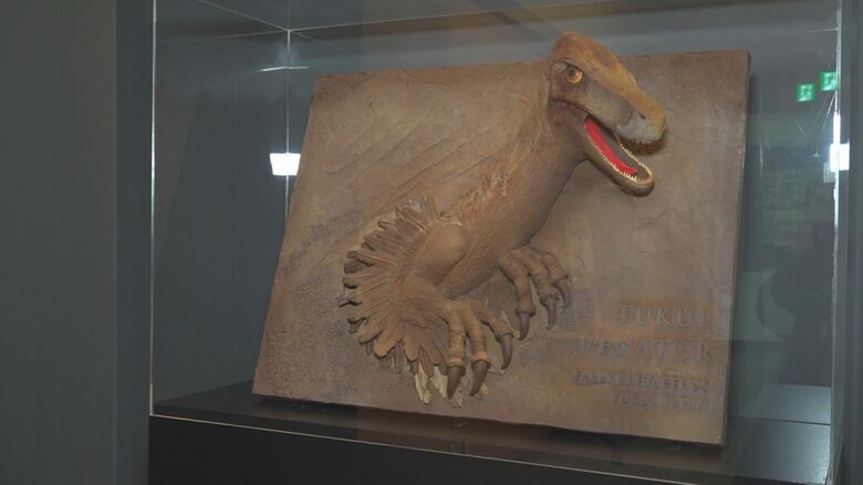 フクイベナートル