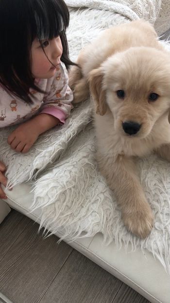 幼いルークくんとふたばちゃん（提供：西村 まひろさん）